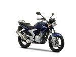 2009 Yamaha YBR 250