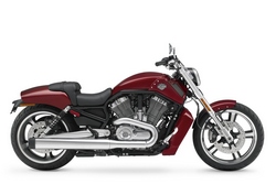VRSCF V-Rod Muscle