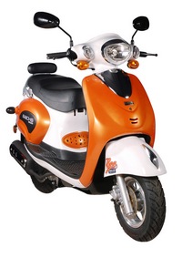 Sachs Bee