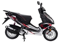 2010 Sachs Speedjst RS