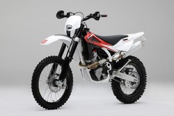 2010 TE450
