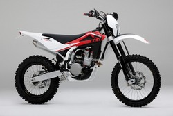 2010 TE510
