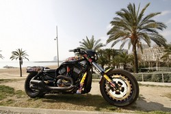 Harley Davidson Custo