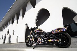 Harley-Davidson and Custo