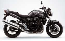 2010 Suzuki GSF1250
