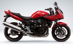 2010 Suzuki GSF650 SA