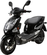 PGO Trex 50