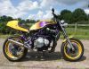Suzuki Harris Magnum
