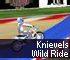 Knievels Wild Ride Bike Game