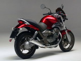 Guzzi