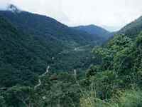Peru Amazonian Rainforest