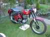1955 Ariel Colt