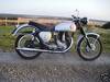 1955 BSA B31 350 Gold Star Replica