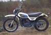 1981 Yamaha DT250