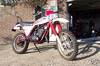 1981 DT250