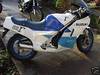RG250 Gamma
