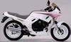 Honda VT 250F Special Edition