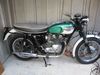 Triumph T100