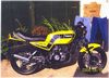 1986 Yamaha RD350LC