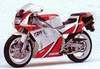 1989 Yamaha TZR 250 