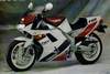 1991 Yamaha FZR 1000 EXUP