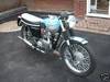 Triumph T100A