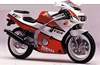 Yamaha FZR250R